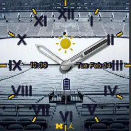 Michigan Big House
