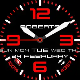 Roberts watch