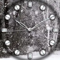 Animated Snow