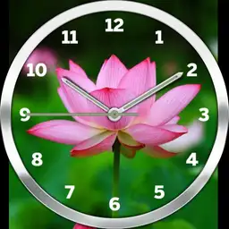 Lotus
