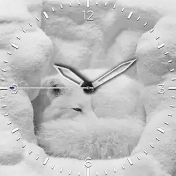 Nspz_73 Arctic theme Mod 1