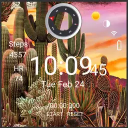 Cactus Copy