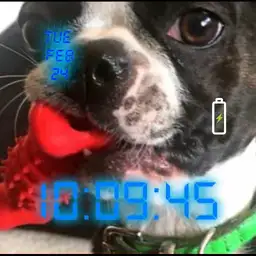 Wakey Wakey 2
