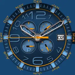 MSF No1