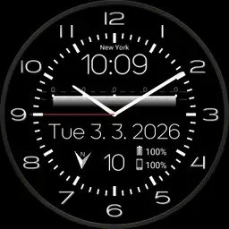andis watch