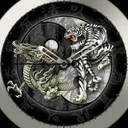 Tiger and Dragon - Duality