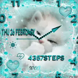 brit little White cat