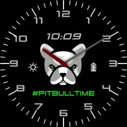 Pitbull