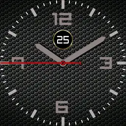 bugnatolt01 grey
