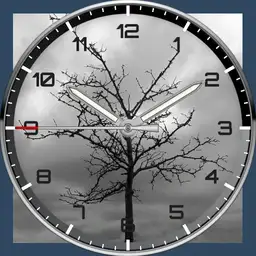 monochrome tree