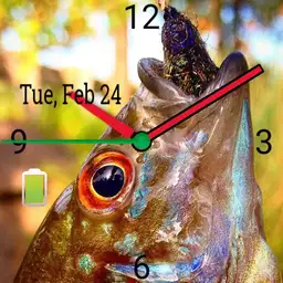 Fly fishing