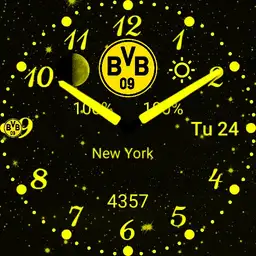 BVB09 Copy