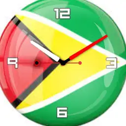 Guyanese Flag
