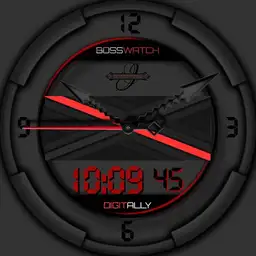 B.O.S.S Digi 2