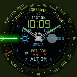 military with compass Copy