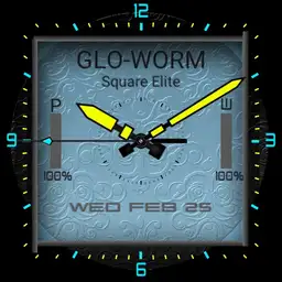 Glo-worm SE