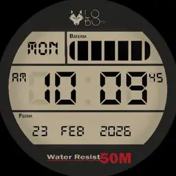 LOBOmx retro digital Copy