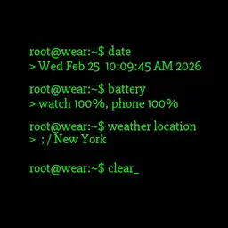 Terminal Watchface