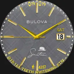 SINATRA - Tan or Gray Dial Changes Each Min