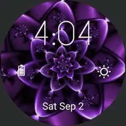 Purple Flower