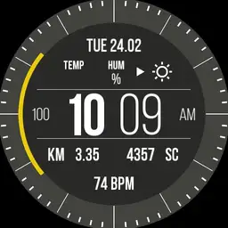 Mod.GarminRun v.01