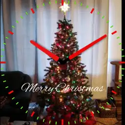 Merry Christmas from the Slyters