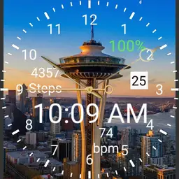 space needle