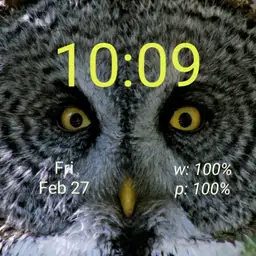 cjb great gray owl