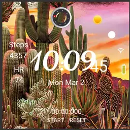 Cactus