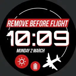 REMOVE BEFORE FLIGHT 2.0 Copy