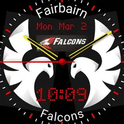 Falcons version 4 digital and analogue