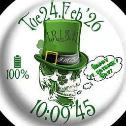 St.Patricks Day Scull 1