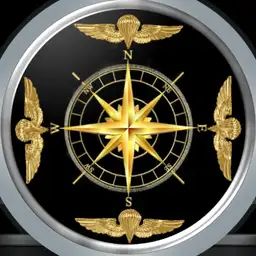 Militarium single face with false compass Split cover