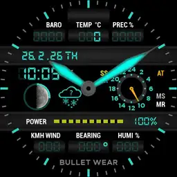 BW SURVIVOR MIL - DARK SKY
