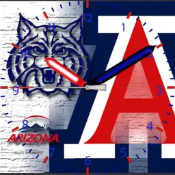 Arizona Wildcats