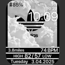 Cloud Chaser Adidas Logo