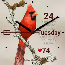 Roter Vogel