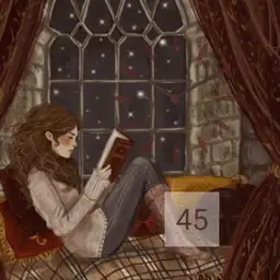 A book reader