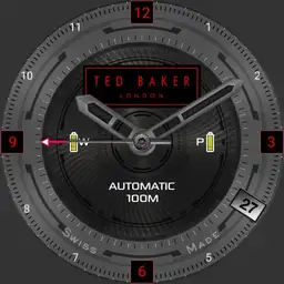 Ted Baker Titanium