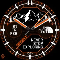 The
North
Face Mountains Orange
