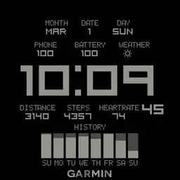 Garmin ST original_Gyeore