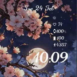 Ladies moon