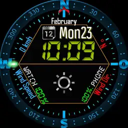 0029 LCD