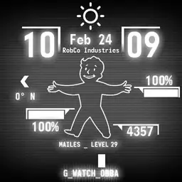 PipBoy G_WATCH_0BBA