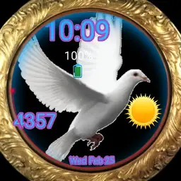 Time to Fly