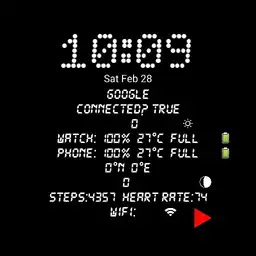 multifunction watch