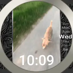 Tilde the endless Hungry Running Border Mops