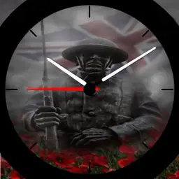 Rose Soldier