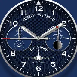 Pilot JAS 39 Gripen