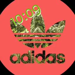 Adidas bud 1